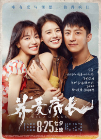 婷婷在线视频